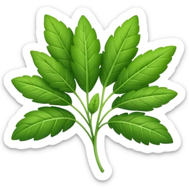 fresh green herb sticker