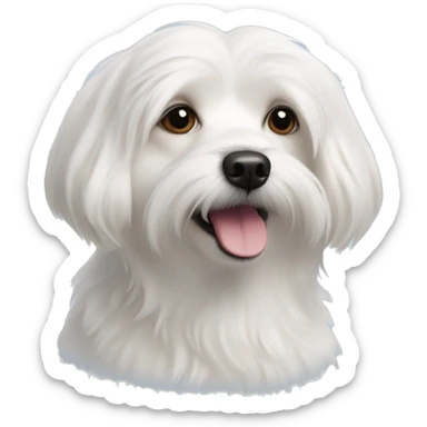 Coton de tulear and chihuahua mix sticker