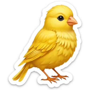 Sarı Kanarya  sticker