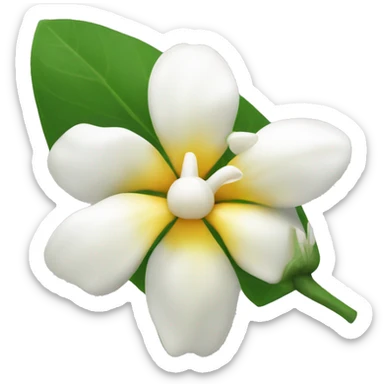 Jasmin flower tunisia sticker