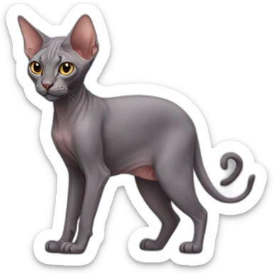 A cat without fur, a sphynx sticker
