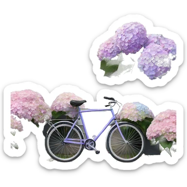hydrangea in front of gray house with bike sticker