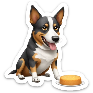 Fat Australian cattle dog begging for food sticker