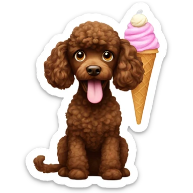 Brown poodle with an ice cream sticker
