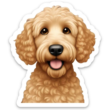 Apricot Mini Golden Doodle  sticker