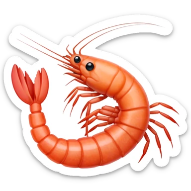 Shrimp roughly drawn with pencil sticker