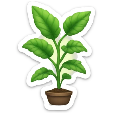 Plant sticker
