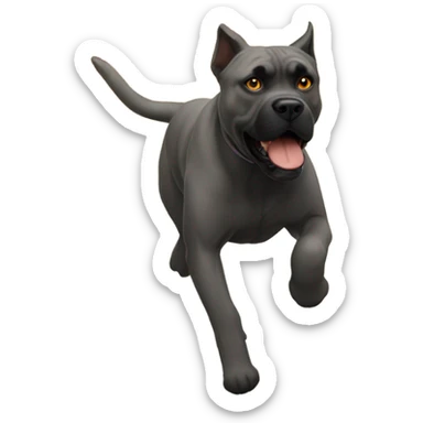 An orange-colored Cane Corso running from cops. sticker