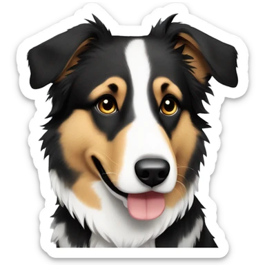 German shepherd cross border collie cross breed sticker