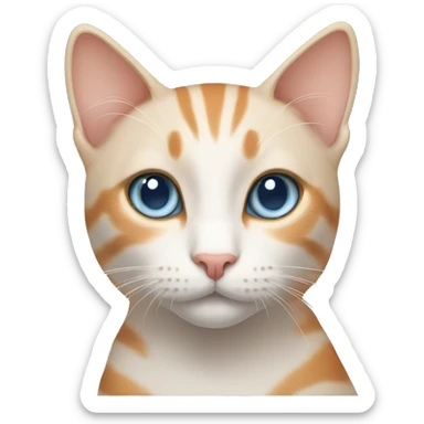 cat blue eyes with light orange stripes sticker