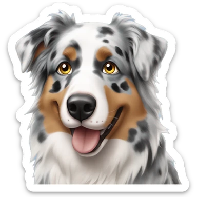 Blue Merle Australian shepherd with a couple  sticker