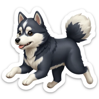 a black and white husky dog running towards the left sticker