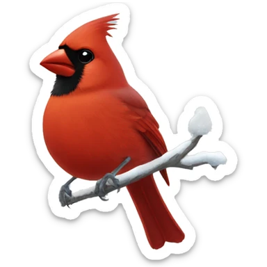 Red cardinal in snow sticker