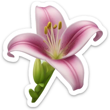 lily flower sticker