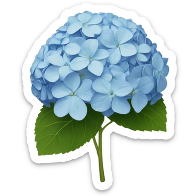 Hydrangeas  sticker