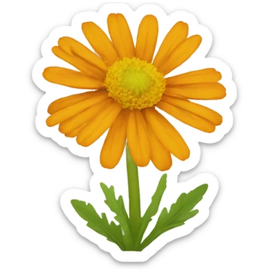 calendula sticker