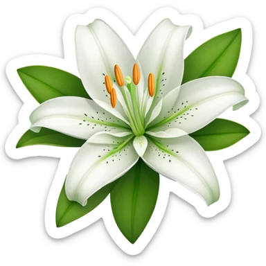 white lily flower with exactly six petals, one flower bud, and green leaves sticker