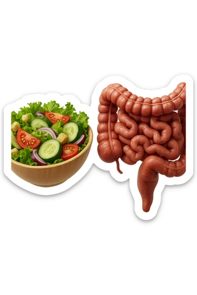 bowl di insalata fluttua in aria insieme ad intestino umano anatomico realistico, IPERREALISTICO 4K sticker