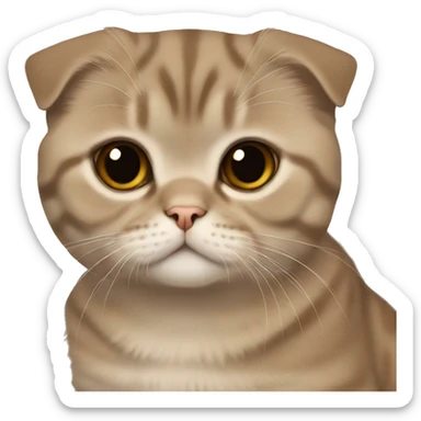 Scottish fold light brown sticker
