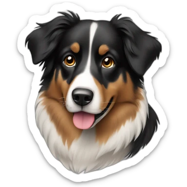 Black and tan Australian Shepard no white sticker