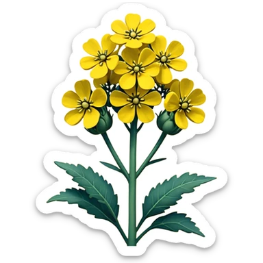 Rapeseed sticker