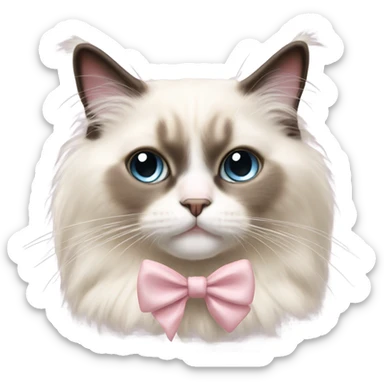 Cute Realistic ragdoll cat with pale pink bow sticker