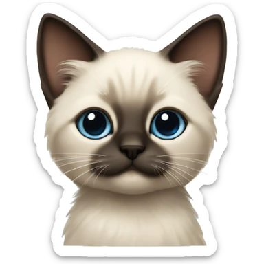 fluffy Siamese kitten sticker