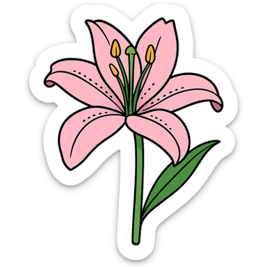 Create two versions of a lily flower: one pink and one maroon, in the style of cartoonish stickers. The style is sticker-like with no background. sticker
