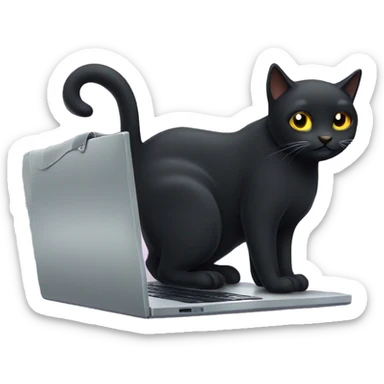 a black cat programming on a laptop. sticker