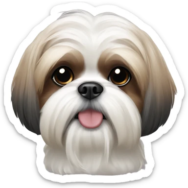 Shih tzu  sticker