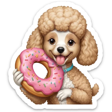 French poodle tamaño mediano hembra con una dona en la boca  sticker