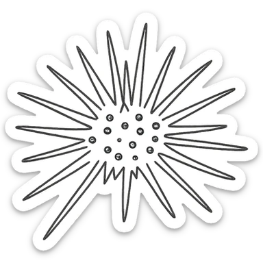 Sea urchin illustration in a clean, hand-drawn style with red lines, minimal design, no text, transparent background, with a slightly different arrangement of spines, matching the style of the reference logo. sticker