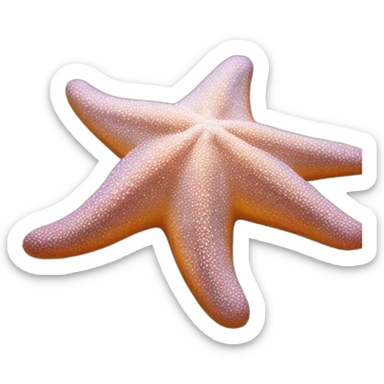 Starfish sticker