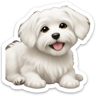 Maltese puppy sticker