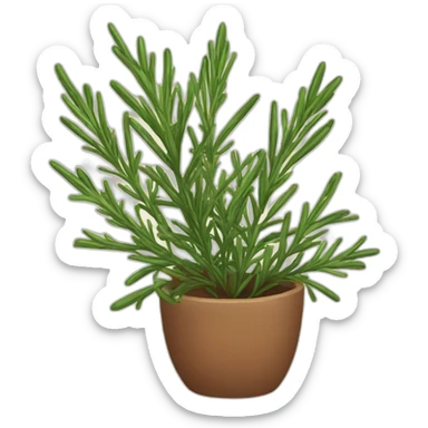 Rosemary sticker