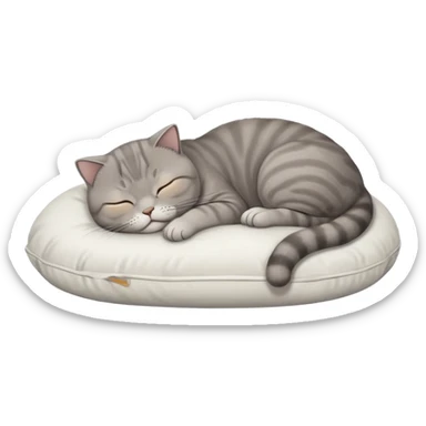 Scottish fold grey cat sleeping on pillow sticker