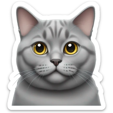 a british gray cat fat sticker