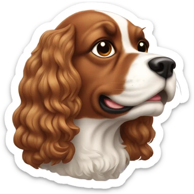 a male handsome cavalier with his teeth showing sticker