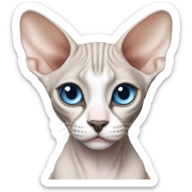 Sphynx cat with grey nose and blue eyes sticker