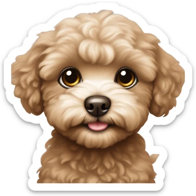 Brown maltipoo puppy  sticker