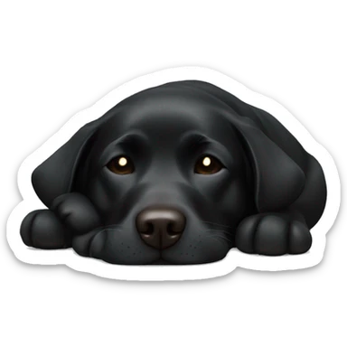 Black Labrador asleep  sticker