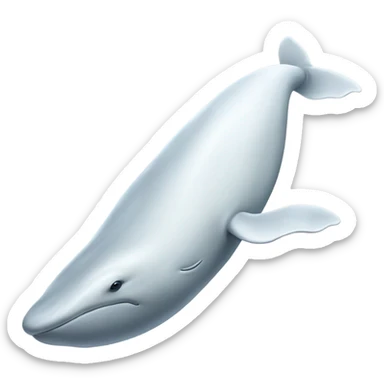 white whale , underside sticker