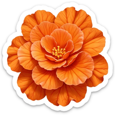 Orange Begonia flower  sticker