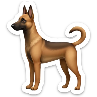 Realistic Belgian malinois dog sticker