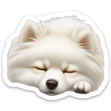 Sleeping white pomeranian sticker