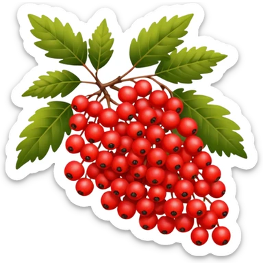 rowan/mountain ash berries sticker