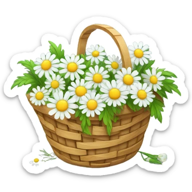 Basket with chamomiles sticker