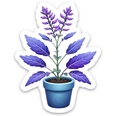 clary sage plant, purple and blue tones, no planter sticker