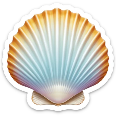 opened sea shell sticker