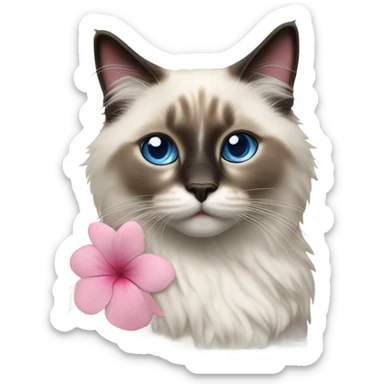 Realistic ragdoll cat with blue eyes wearing pink flowers  sticker